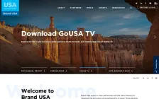 cover preview of The Brand USA